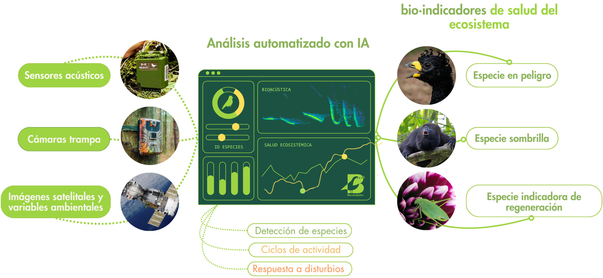 Diagrama de análisis automatizado con IA